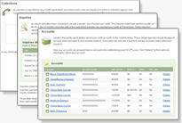 FICO Score Report Display