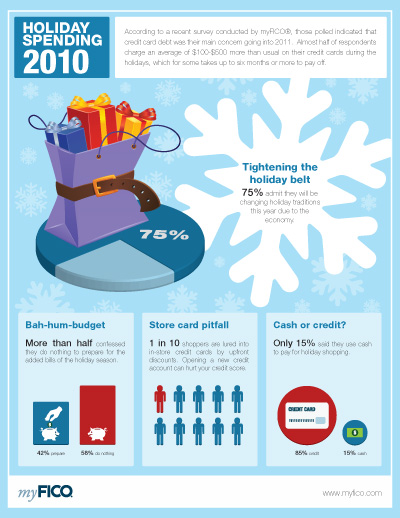 Holiday Shopping 2010 Survey Results