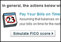 FICO Simulator