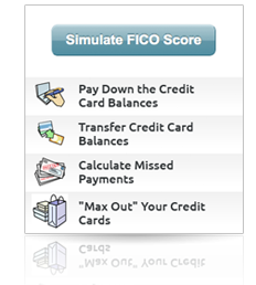 FICO Score simulator